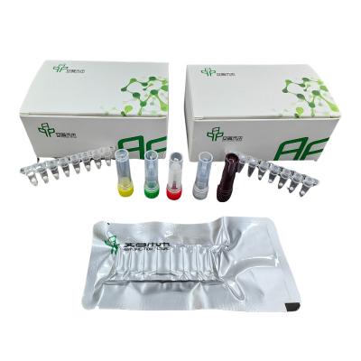 China Fluorescence Salmonella Detection Kit 14 Months Storage Room Temperature Amplification for sale