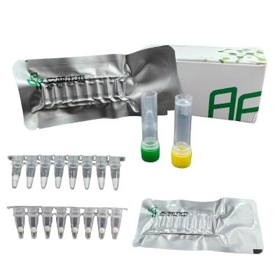 China Kit de amplificação isotérmica de ADN de alta sensibilidade NFO 48 testes / caixa à venda