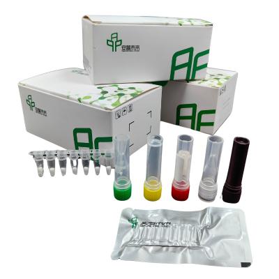 China Shigella Pathogen Detection Kit with Exonuclease Isothermal Fluorescence Detector for sale
