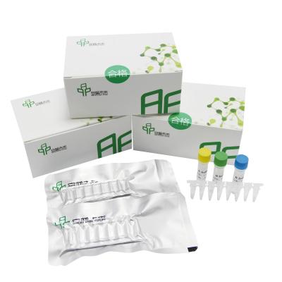China Reliable RNA Basic Isothermal Amplification Kit For Accurate Result for sale