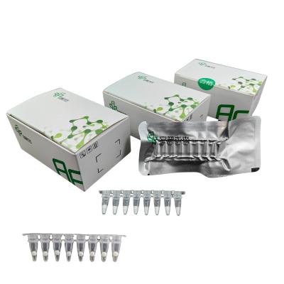 China Rapid RNA Nucleic Acid EXO Isothermal Amplification Kit For Lab Use for sale