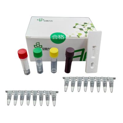 China Diagnóstico Kit de testes de patógenos isotérmicos para adenovírus respiratórios à venda