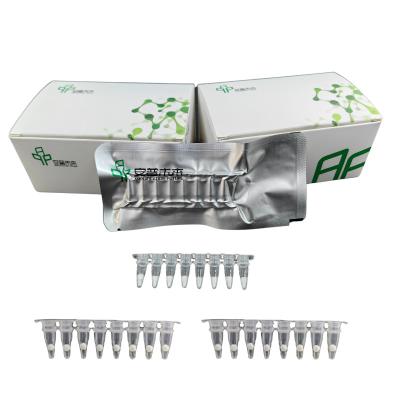China Stable Easy Operate DNA Nucleic Acid Amplification NFO Kit for sale
