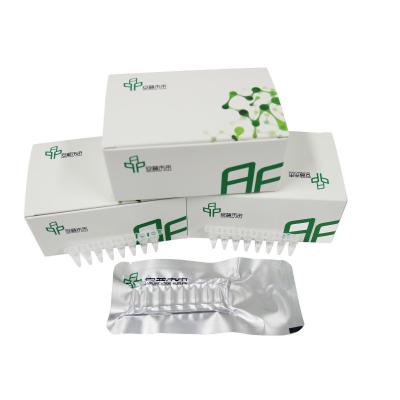 China Effective EXO DNA Amplification Kit For Reliable Results for sale
