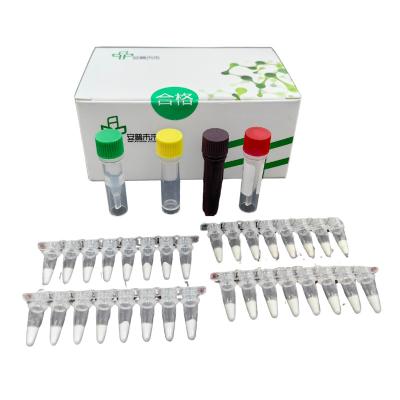 China High Sensitivity Listeria Monocytogenes Test Kit With D-Loop Region And Real Time Monitoring for sale