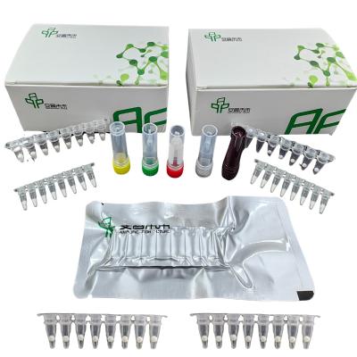 China EXO H Pylori Detection Kit With Isothermal Fluorescence Detector for sale