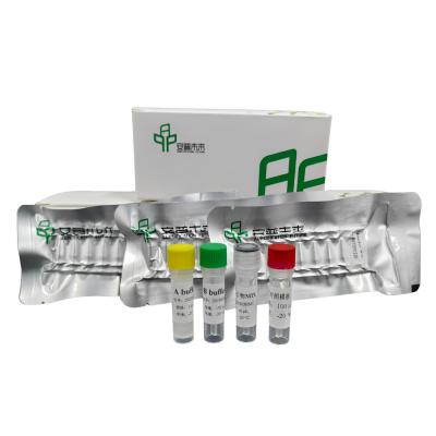 China Hochempfindliche DNA-Schnell-Isothermal-Amplifikations-Kit zu verkaufen