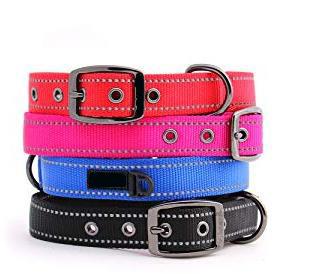 China Reflective Heavy Duty Nylon Dog Collars Metal Buckle Eco Friendly 5 Sizes Option for sale