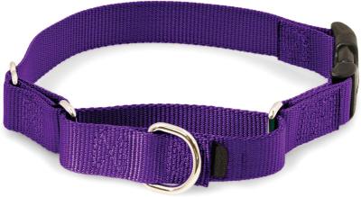 China Durable Soft Nylon Buckle Dog Collars , Purple Green Nylon Dog Collar Easy On Off for sale