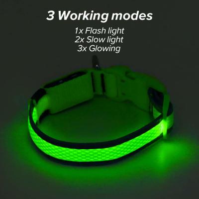 China Lightweight LED Dog Collar USB Rechargeable , High Visible LED Pet Dog Collar for sale