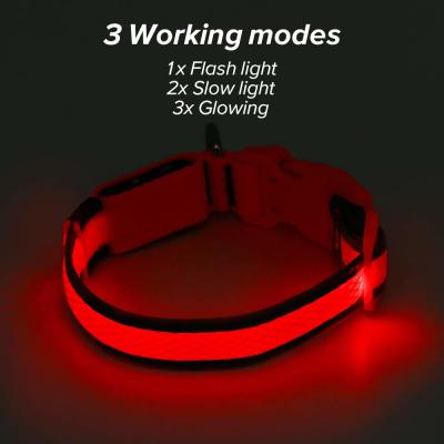 China Customized Color LED Dog Collar USB Rechargeable , Nylon LED Pet Dog Collar for sale