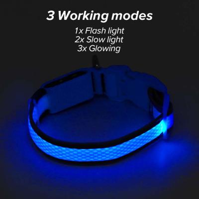 China Durable Rechargeable Lighted Dog Collars Heavy Duty Nylon Webbing Material for sale