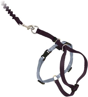 China Adjustable Nylon Cat Harness Collar With Bungee Leash for sale