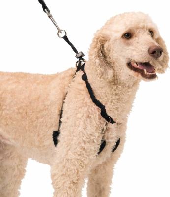 China Etapa fácil em nenhuma cabeçada dos colares do treinamento do cão do bloqueador com limitações destacáveis à venda