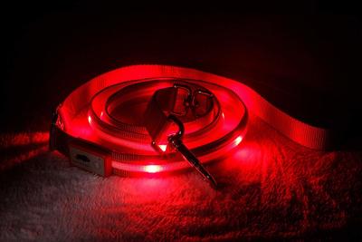 China Super Bright Illuminated Dog Leash Runs Over 7 Hours For Dogs Walking Training for sale