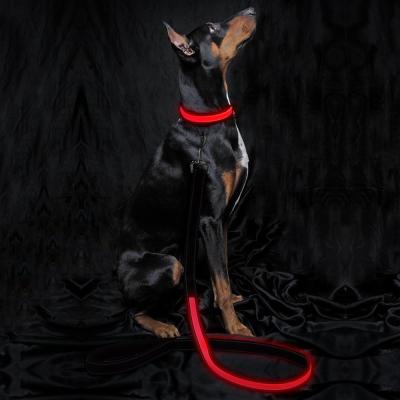 China Neoprene Padding Reflective Light Up Dog Lead Safe For Night Walking for sale
