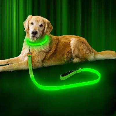 China USB Rechargeable LED Dog Leash 47.2 Inch 120cm Reflective Night OEM ODM Available for sale
