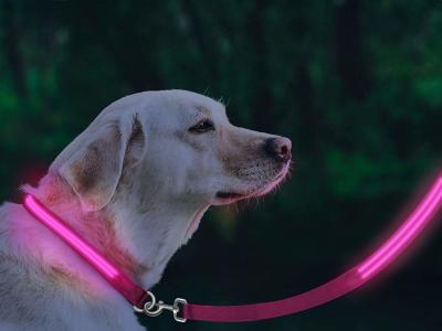 China Eco Friendly LED Glow In The Dark Dog Leash Weatherproof Available In 5 Colors for sale