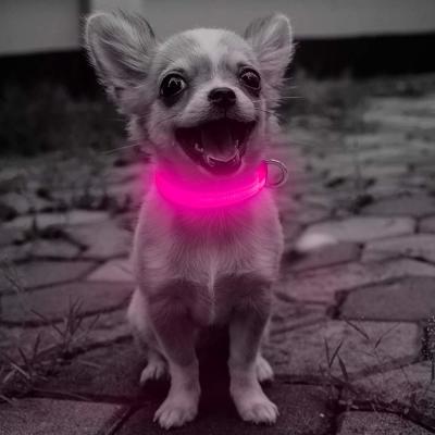 China Energy Saving Glow In The Dark Puppy Collars USB Rechargeable Environmental Friendly for sale