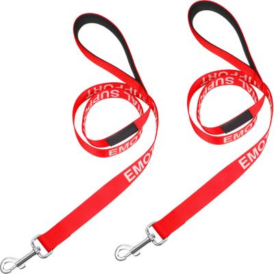 China Waterproof Reflective Dog Leash Easy Identification At Night 59 Inch 150cm for sale