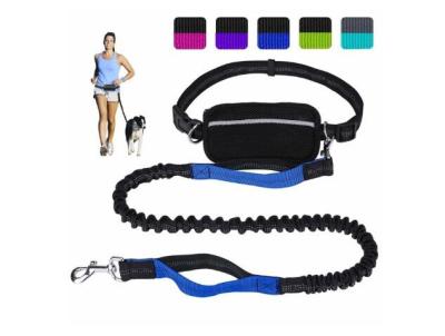 China Dual Handle Adjustable Nylon Dog Leash Waist Belt Hands Free 4 Feet For Better Control for sale