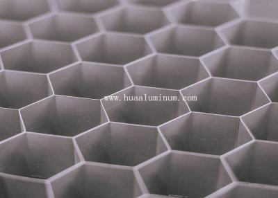 Chine L'aluminium léger structurel d'anti nid d'abeilles statique lambrisse la surface anodisée à vendre