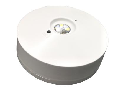 中国 非維持されたIP20 LEDの再充電可能な非常灯の非常口は220Vに署名します 販売のため