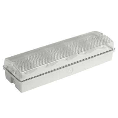 China Maintained 220V Wall Surface Mounted Emergency Light For Commercial Buildings for sale