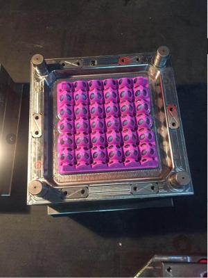 Китай Изготовленная на заказ энергосберегающая машина инжекционного метода литья для пластиковой прессформы подноса яйца продается