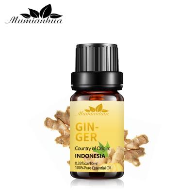 China 10ml Organic Ginger Essential Oil Hair Growth MSDS OEM For Hair Loss Treatment for sale