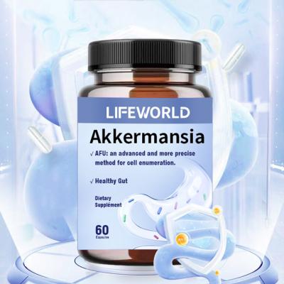 China ODM/OEM Suplemento de Saúde 300 bilhões AFU Live Akkermansia Probióticos cápsula à venda