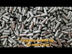 Customized Tungsten Carbide Tips / YG6 Carbide Rotary Burr
