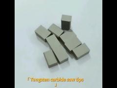 Customzed Tungsten Carnbide Saw Tips for harder rock / MR8-B MR9-B WC Cobalt