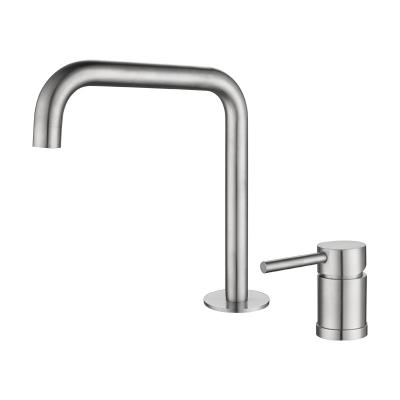 China Countertop Basin Bathroom Faucet Tap Stainless SUS304 Kitchen Faucet Hot And Cold for sale