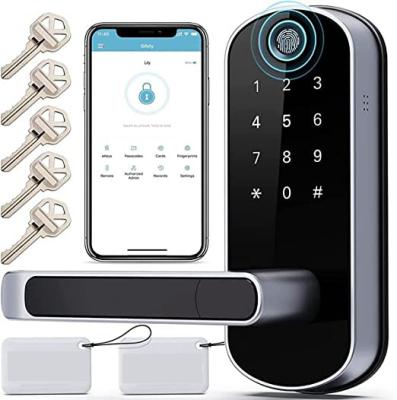 China Smart Keyless Wifi Fingerprint Door Lock Biometric Digital For Business for sale