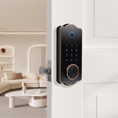 China Amazon Alexa Electrónica Smart huella digital Cerradura de la puerta Cerrojo cerrado totalmente automático en venta