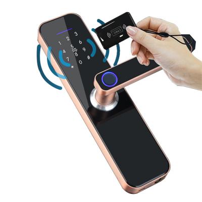 China Multifunktionales Fingerabdruck-Türschloss für verbesserte Sicherheit Schlüssellos Bluetooth WLAN Biometrisches intelligentes Türschloss zu verkaufen