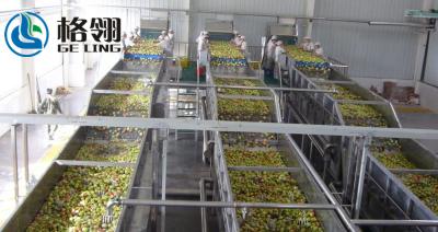China 1-100ton Automatic Fruit Juice Processing Line Apple Juice 20000lph Beverage Processing Line for sale
