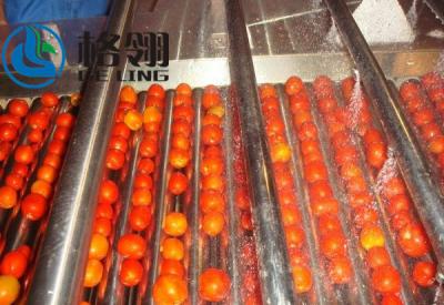 Chine Chaîne de production automatique adaptée aux besoins du client de sauce tomate 316l 1-100ton Juice Production Line à vendre