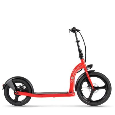 China Off Road Big Wheel Electric Scooter With Pedals Assisted RICH BIT H100 Front 20