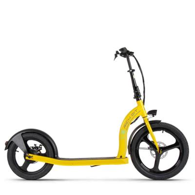 China Two Wheel Stand Up Electric Scooter Cycle Seg Front 20In Rear 16In RICH BIT H100 for sale