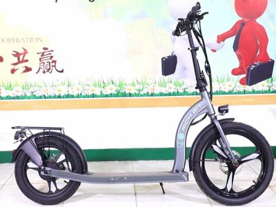 China 36-48V Electric Scooter Cycle With Removable Battery  30km/H for sale