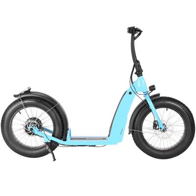 China 350 Watt 20 Inch Electric Scooter Adult Big Wheel Front And Rear 48v 14Ah for sale