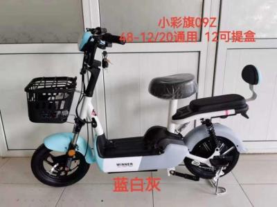 China Two 2 Wheel Electric Scooter 14 Inch Wheels For Adults 48v 500w 12Ah for sale