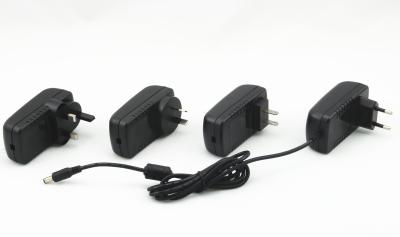 China 24W DC Output AC Power Adapters for Digital Picture Frame , Video Telephone for sale