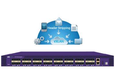 China NetTAP® Network Packet Broker VXLAN Header Stripping in Original Packet and Metadata for sale