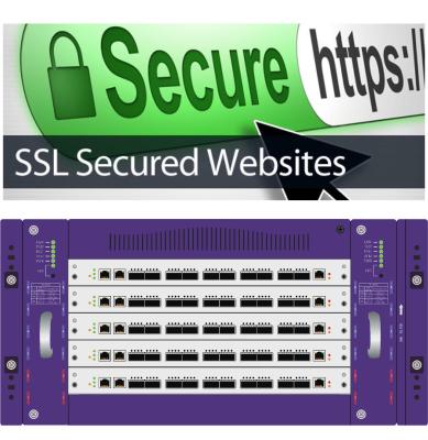 China La red neta de la visibilidad golpea ligeramente la penetración de la amenaza seguridad cibernética del monitor del protocolo del HTTP SSL y de TLS en venta