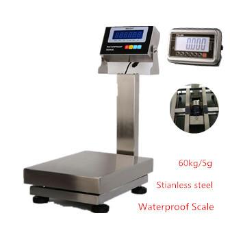 China BWS-3040 60kg/5g Stainless Steel Industry Weighing bench scale IP67 AC 220V with waterproof indicator for sale