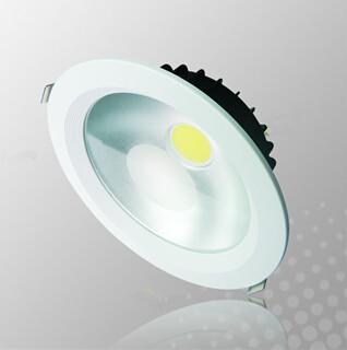 China Cool White/Warm White COB 20W led ceiling light for sale