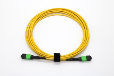 China MPO Male To MPO Female Fiber Optic Patch Cables Single Mode OM3 12/ 24 Core for sale
